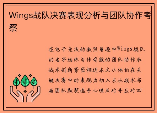 Wings战队决赛表现分析与团队协作考察