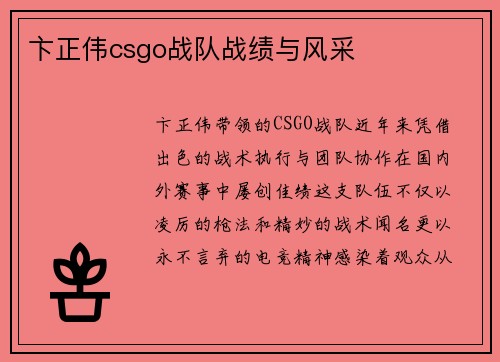 卞正伟csgo战队战绩与风采